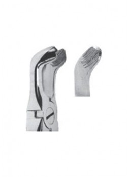 Extracting Forceps